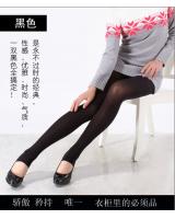WP8818 Stylish Legging Black
