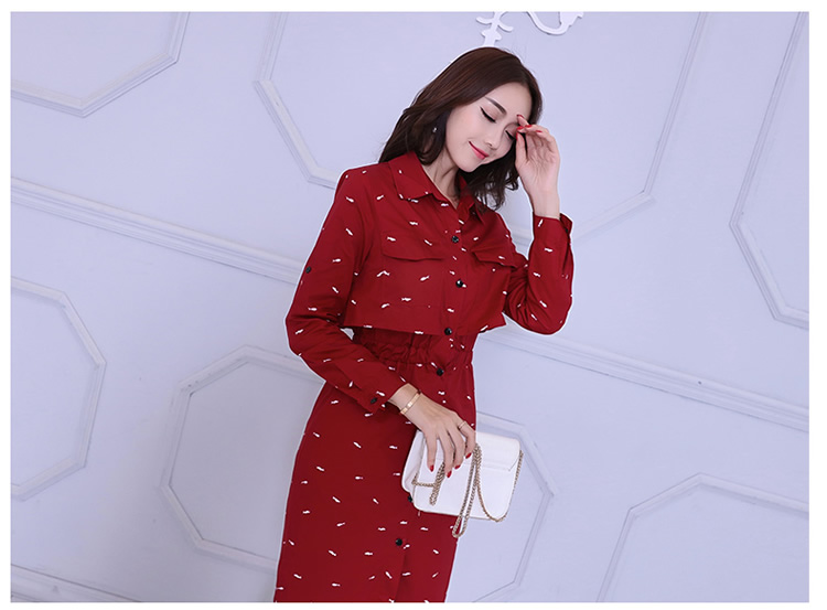 WD7309 Charming Dress Red