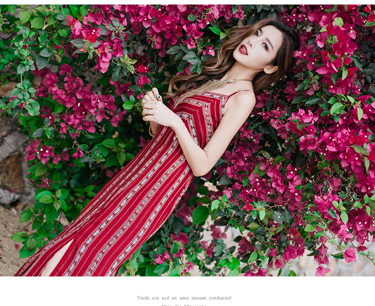 WD3847 Sexy Fashion Dress Red