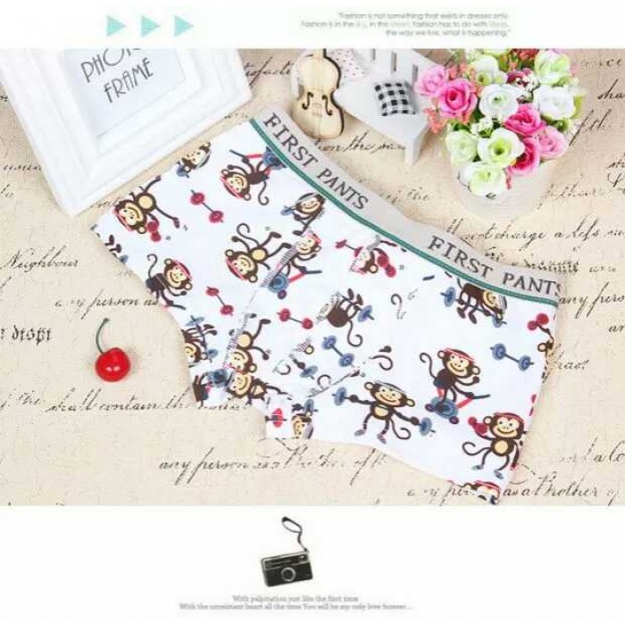 MW40003 Kid Boy's Underwear 4pcs