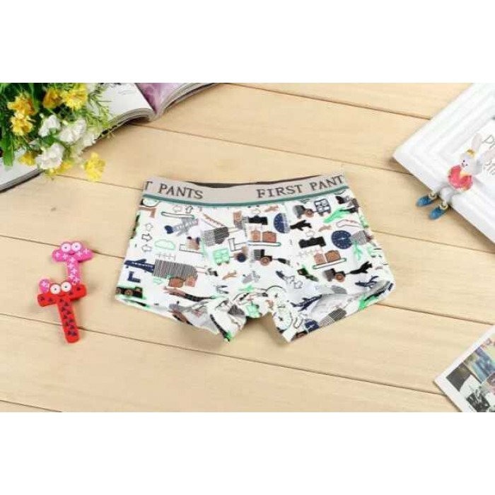 MW40003 Kid Boy's Underwear 4pcs
