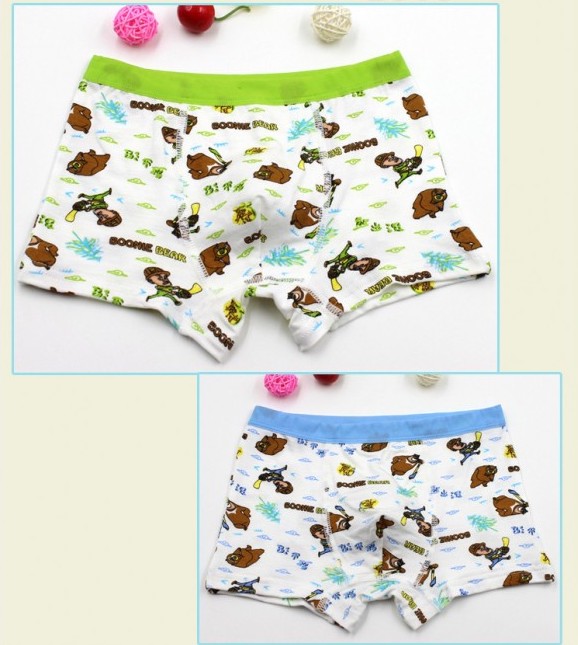 MW40005 Kid Boy's Underwear 4pcs