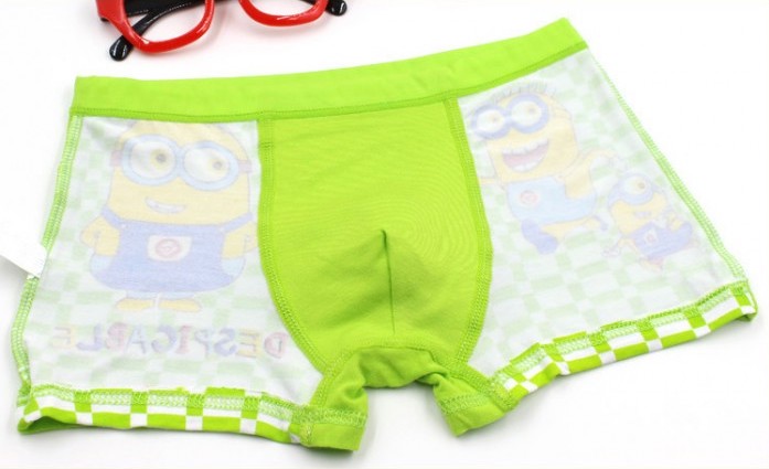 MW40006 Kid Boy's Underwear 4pcs