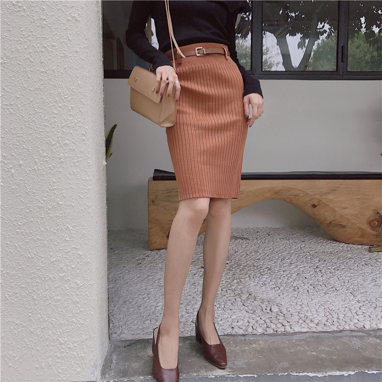 EW20273 Elegant Skirt Brown