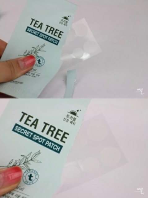 CW50042 Tea Tree Secret Spot Patch