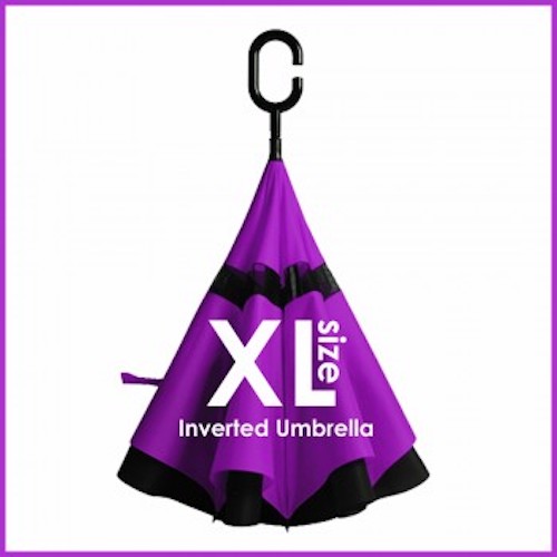 RV002 Inverted Umbrella Purple