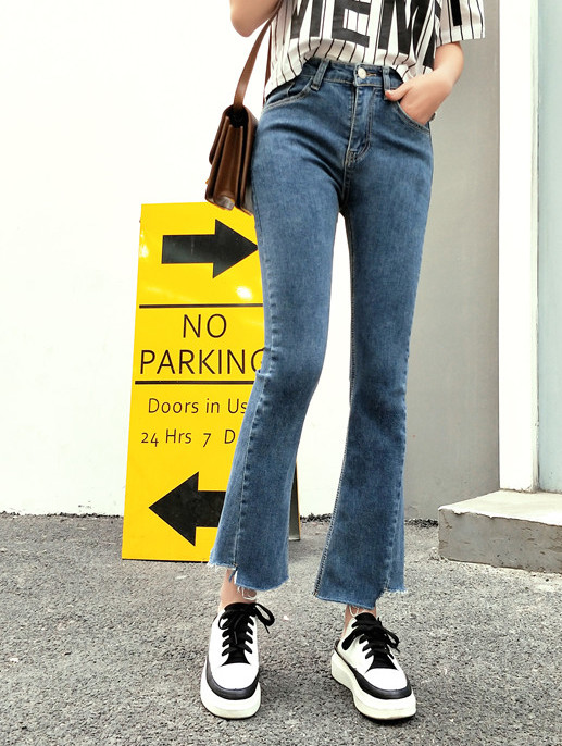 ZL718 Trendy Pant Blue