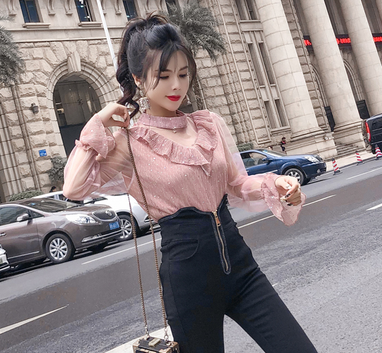 ZL760 Trendy Blouse Pink