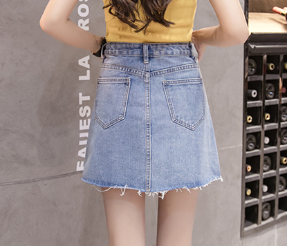 ZL793 Fashion Skirt Light Blue