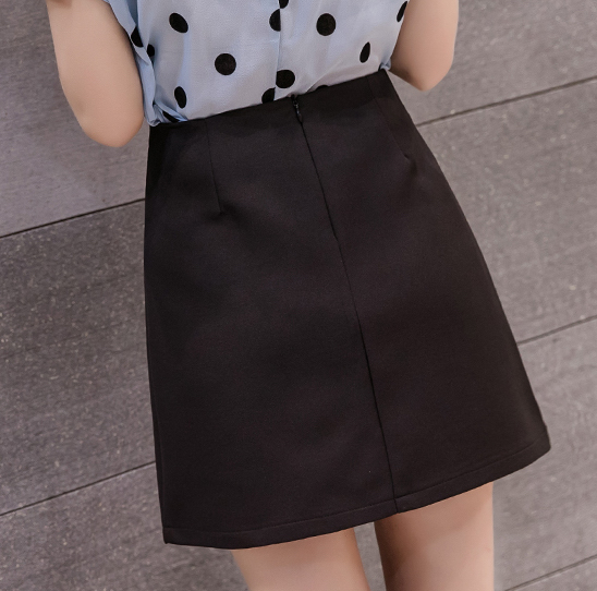 ZL796 Trendy Skirt Black 