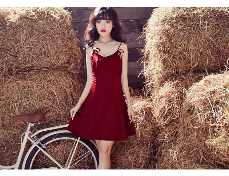 ZL845 Sweet Dress Maroon