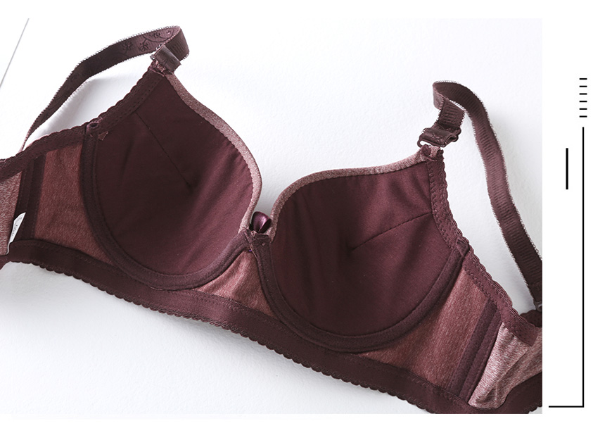 QA-607 WOMEN'S PLUS SIZE BRA BROWN